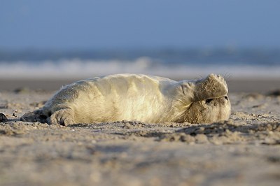 BUITEN BEELD Foto: 152809