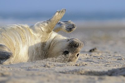 BUITEN BEELD Foto: 152820