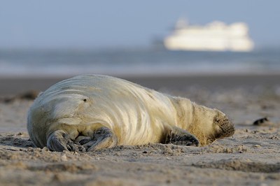 BUITEN BEELD Foto: 152827