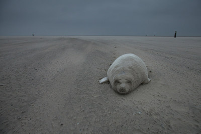 BUITEN BEELD Foto: 152849