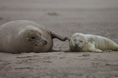 BUITEN BEELD Foto: 152853