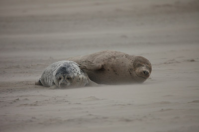 BUITEN BEELD Foto: 152857