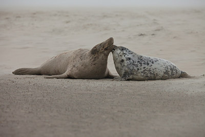 BUITEN BEELD Foto: 152859