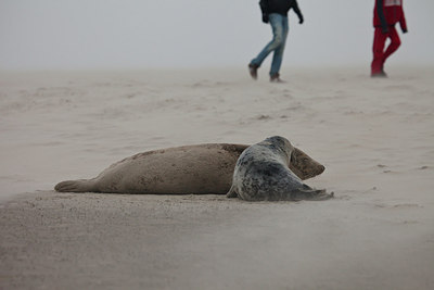 BUITEN BEELD Foto: 152860