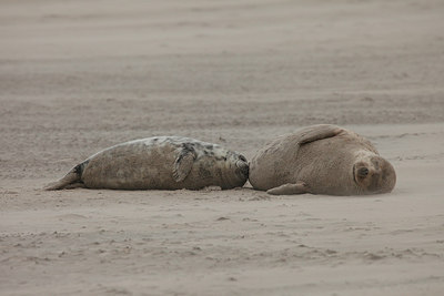 BUITEN BEELD Foto: 152862