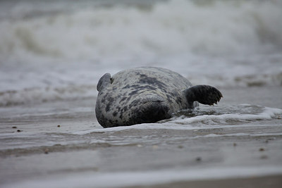 BUITEN BEELD Foto: 152864