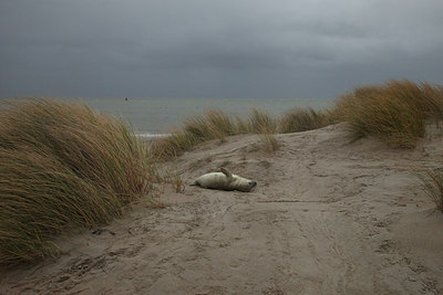 BUITEN BEELD Foto: 152870