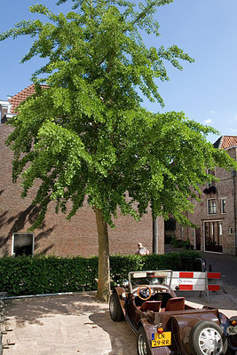 BUITEN BEELD Foto: 152913