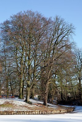 BUITEN BEELD Foto: 152921