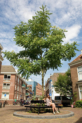 BUITEN BEELD Foto: 152938