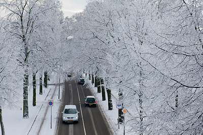 BUITEN BEELD Foto: 152939