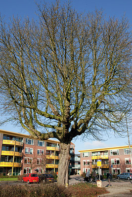 BUITEN BEELD Foto: 152966