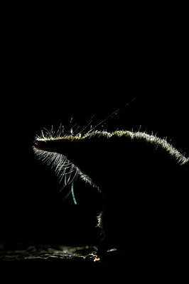 BUITEN BEELD Foto: 153006