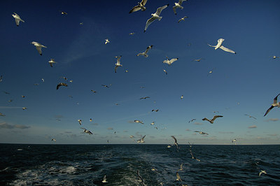 BUITEN BEELD Foto: 153031
