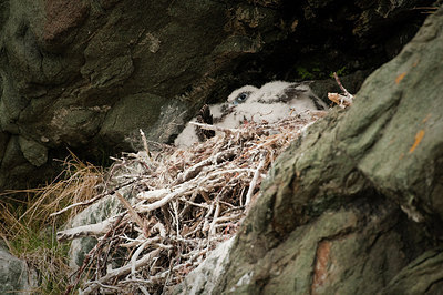BUITEN BEELD Foto: 153034