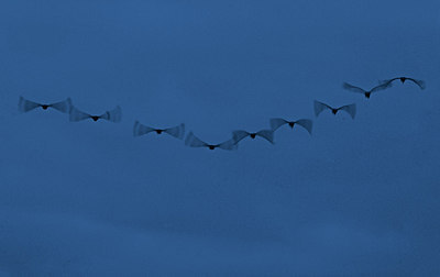 BUITEN BEELD Foto: 153039