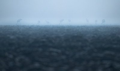 BUITEN BEELD Foto: 153040