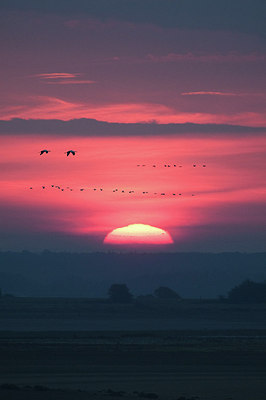 BUITEN BEELD Foto: 153043