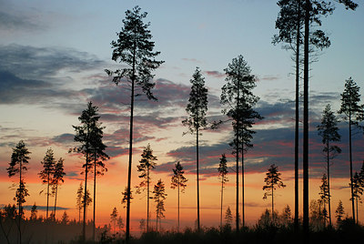 BUITEN BEELD Foto: 153081