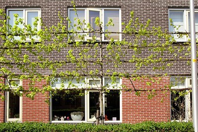 BUITEN BEELD Foto: 153089