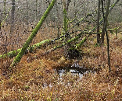 BUITEN BEELD Foto: 153149