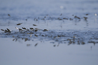 BUITEN BEELD Foto: 153163