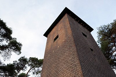 BUITEN BEELD Foto: 153183