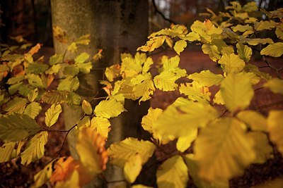 BUITEN BEELD Foto: 153184