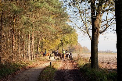 BUITEN BEELD Foto: 153188