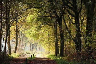 BUITEN BEELD Foto: 153189