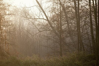 BUITEN BEELD Foto: 153193