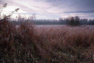 BUITEN BEELD Foto: 153206