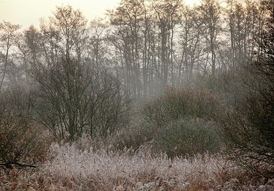BUITEN BEELD Foto: 153208