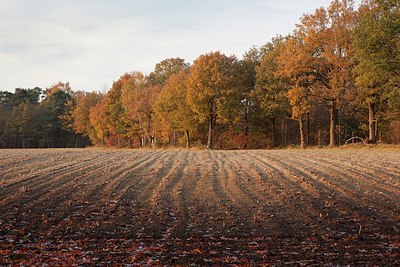 BUITEN BEELD Foto: 153210