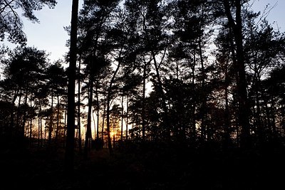 BUITEN BEELD Foto: 153211