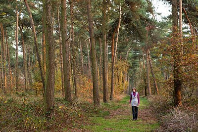 BUITEN BEELD Foto: 153212