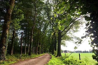 BUITEN BEELD Foto: 153213