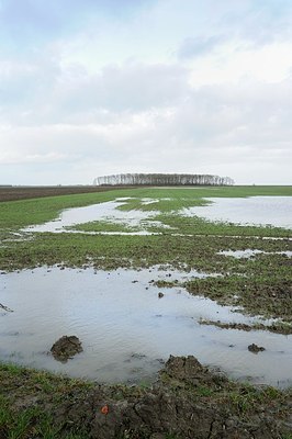 BUITEN BEELD Foto: 153293
