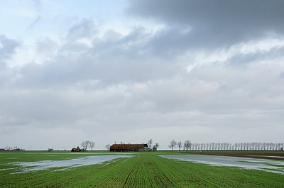 BUITEN BEELD Foto: 153296