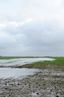 BUITEN BEELD Foto: 153298