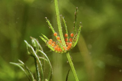 BUITEN BEELD Foto: 153346