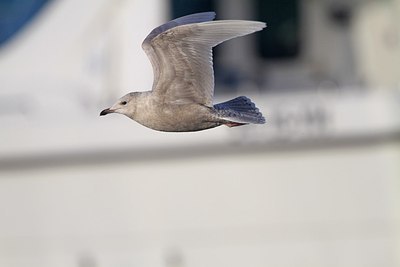 BUITEN BEELD Foto: 153469