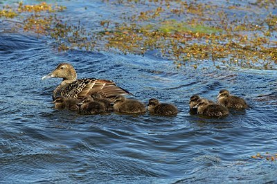 BUITEN BEELD Foto: 153575