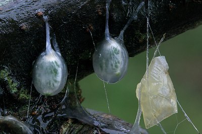 BUITEN BEELD Foto: 153673