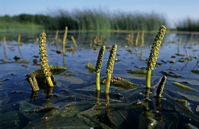 BUITEN BEELD Foto: 153779