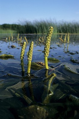 BUITEN BEELD Foto: 153781