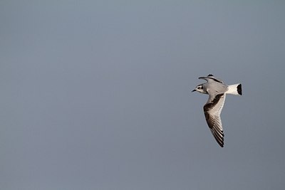 BUITEN BEELD Foto: 153814