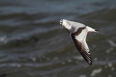 BUITEN BEELD Foto: 153818