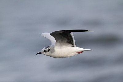 BUITEN BEELD Foto: 153823