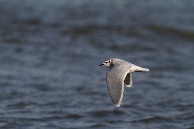 BUITEN BEELD Foto: 153828